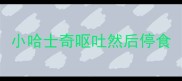 小哈士奇呕吐然后停食
