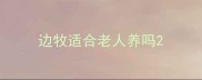 边牧适合老人养吗