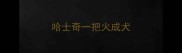 哈士奇一把火成犬