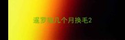 暹罗猫几个月换毛