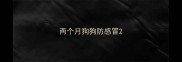 两个月狗狗防感冒