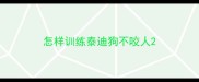 怎样训练泰迪狗不咬人
