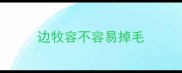 边牧容不容易掉毛