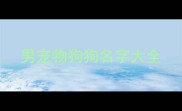 男宠物狗狗名字大全