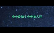 哈士奇细小会传染人吗