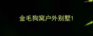 金毛狗窝户外别墅