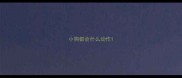 小狗都会什么动作