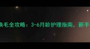 史宾格幼犬换毛全攻略3-6月龄护理指南新手家长必看