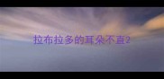 拉布拉多的耳朵不直