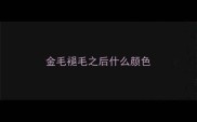 金毛褪毛之后什么颜色