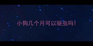 小狗几个月可以驱虫吗