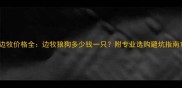 边牧价格全边牧狼狗多少钱一只附专业选购避坑指南