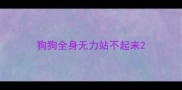 狗狗全身无力站不起来