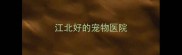 江北好的宠物医院