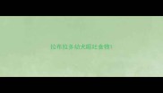 拉布拉多幼犬呕吐食物