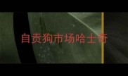 自贡狗市场哈士奇