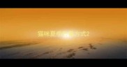 猫咪夏季防暑方式