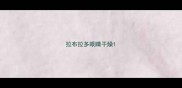 拉布拉多眼睛干燥