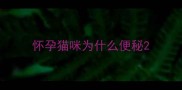 怀孕猫咪为什么便秘