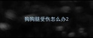 狗狗腿受伤怎么办