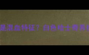 哈士奇尾巴尖呈白色是混血特征白色哈士奇养护全攻略附基因