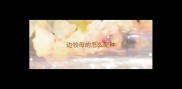 边牧母的怎么配种