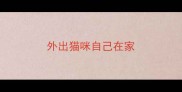 外出猫咪自己在家