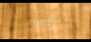 小猫打疫苗前要除虫