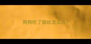 狗狗吃了就吐怎么办