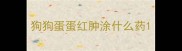 狗狗蛋蛋红肿涂什么药
