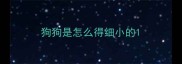 狗狗是怎么得细小的