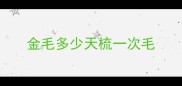 金毛多少天梳一次毛