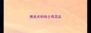 博美犬和哈士奇混血