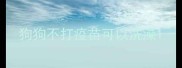 狗狗不打疫苗可以洗澡