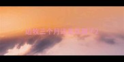 边牧三个月还是花鼻子