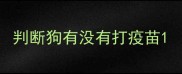 判断狗有没有打疫苗