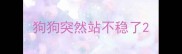 狗狗突然站不稳了