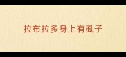 拉布拉多身上有虱子