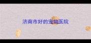 济南市好的宠物医院