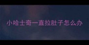 小哈士奇一直拉肚子怎么办