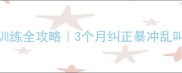 拉布拉多凶猛训练全攻略3个月纠正暴冲乱叫附行为纠正表
