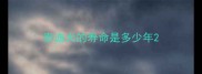 泰迪犬的寿命是多少年