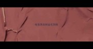 电饭煲自制金毛狗粮