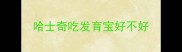 哈士奇吃发育宝好不好