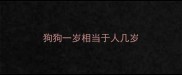 狗狗一岁相当于人几岁