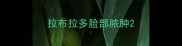拉布拉多脸部脓肿