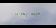 哈士奇鼻子一边是粉色