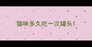 猫咪多久吃一次罐头