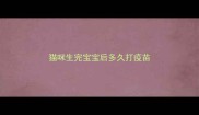 猫咪生完宝宝后多久打疫苗
