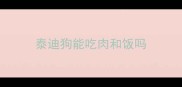 泰迪狗能吃肉和饭吗